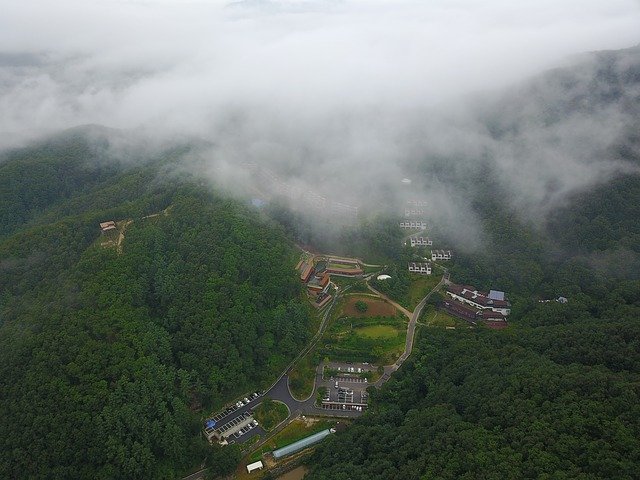 letecký snímek lesa